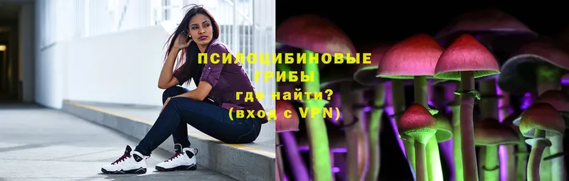 Псилоцибиновые грибы ЛСД  Туринск 